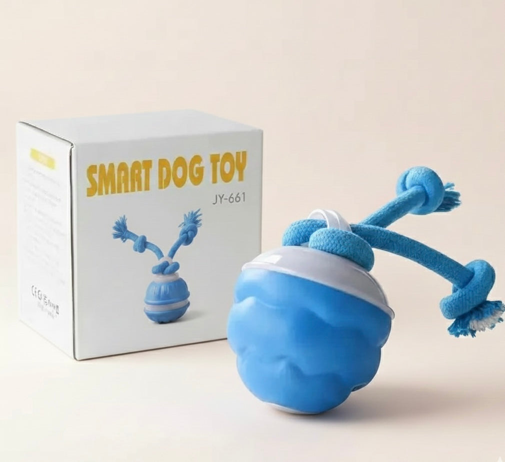 Smart Interactive Motion Ball™