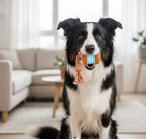 Smart Interactive Motion Ball™